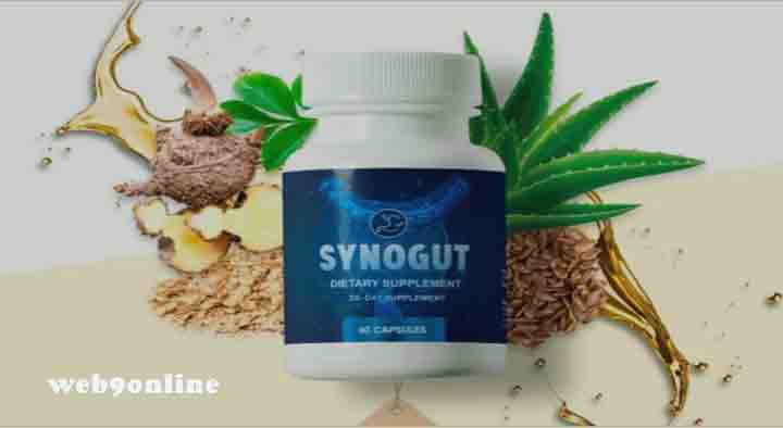 Synogut Review - Does Synogut Really Work For You